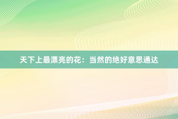 天下上最漂亮的花：当然的绝好意思通达
