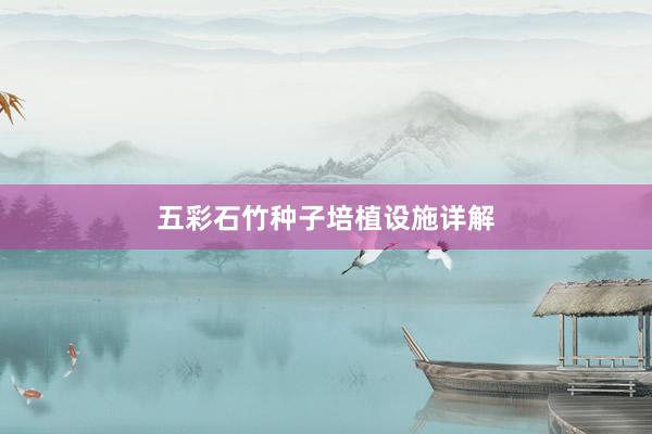 五彩石竹种子培植设施详解